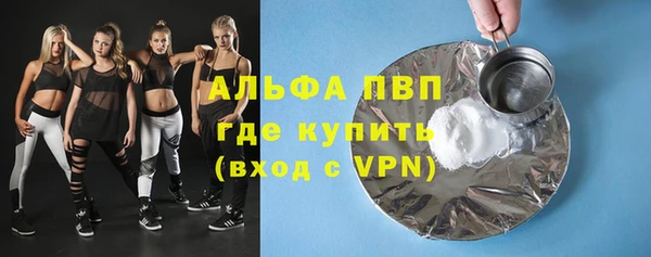 крисы Абаза