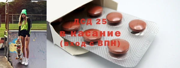 крисы Абаза