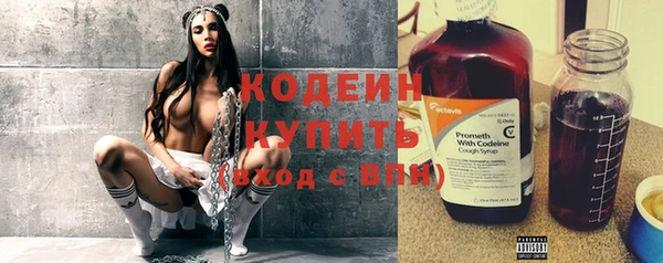 крисы Абаза