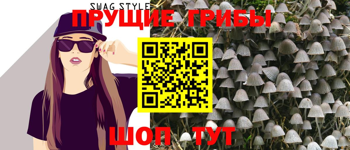 Ирбит  Галлюциногенные грибы GOLDEN TEACHER  продажа наркотиков  Вход с VPN 