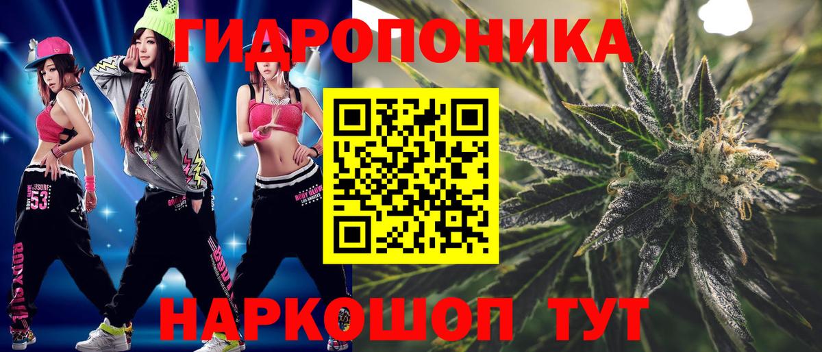 Шишки марихуана сатива  Вход с VPN  Ирбит  Каннабис сатива 